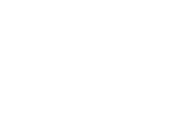 Monograma BS